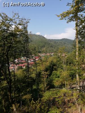 [P02] O poză de ansamblu a stațiunii Moneasa, județul Arad, un peisaj superb a acestei stațiuni, situată între păduri cu un aer curat și liniște, departe de marile orașe gălăgioase și poluate!  » foto by Lăcrimioara69
 - 
<span class="allrVoted glyphicon glyphicon-heart hidden" id="av1006264"></span>
<a class="m-l-10 hidden" id="sv1006264" onclick="voting_Foto_DelVot(,1006264,16243)" role="button">șterge vot <span class="glyphicon glyphicon-remove"></span></a>
<a id="v91006264" class=" c-red"  onclick="voting_Foto_SetVot(1006264)" role="button"><span class="glyphicon glyphicon-heart-empty"></span> <b>LIKE</b> = Votează poza</a> <img class="hidden"  id="f1006264W9" src="/imagini/loader.gif" border="0" /><span class="AjErrMes hidden" id="e1006264ErM"></span>