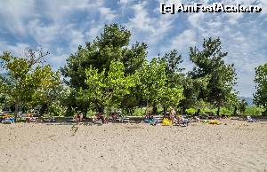 P01 [JUN-2014] Plaja pensiunii, cu umbra naturala de la copacii din grădină. 