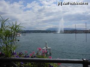 [P38] Geneva - Celebrul jet de apa inalt de 140 m care tasneste din lacul Leman, un simbol al orasului.  » foto by iulianic
 - 
<span class="allrVoted glyphicon glyphicon-heart hidden" id="av367271"></span>
<a class="m-l-10 hidden" id="sv367271" onclick="voting_Foto_DelVot(,367271,17056)" role="button">șterge vot <span class="glyphicon glyphicon-remove"></span></a>
<a id="v9367271" class=" c-red"  onclick="voting_Foto_SetVot(367271)" role="button"><span class="glyphicon glyphicon-heart-empty"></span> <b>LIKE</b> = Votează poza</a> <img class="hidden"  id="f367271W9" src="/imagini/loader.gif" border="0" /><span class="AjErrMes hidden" id="e367271ErM"></span>