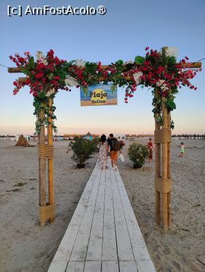 [P23] Plaja Sulina » foto by crismis
 - 
<span class="allrVoted glyphicon glyphicon-heart hidden" id="av1499834"></span>
<a class="m-l-10 hidden" id="sv1499834" onclick="voting_Foto_DelVot(,1499834,17088)" role="button">șterge vot <span class="glyphicon glyphicon-remove"></span></a>
<a id="v91499834" class=" c-red"  onclick="voting_Foto_SetVot(1499834)" role="button"><span class="glyphicon glyphicon-heart-empty"></span> <b>LIKE</b> = Votează poza</a> <img class="hidden"  id="f1499834W9" src="/imagini/loader.gif" border="0" /><span class="AjErrMes hidden" id="e1499834ErM"></span>