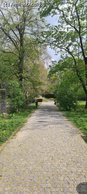 [P07] Alee in parc » foto by Tonyc
 - 
<span class="allrVoted glyphicon glyphicon-heart hidden" id="av1526528"></span>
<a class="m-l-10 hidden" id="sv1526528" onclick="voting_Foto_DelVot(,1526528,17319)" role="button">șterge vot <span class="glyphicon glyphicon-remove"></span></a>
<a id="v91526528" class=" c-red"  onclick="voting_Foto_SetVot(1526528)" role="button"><span class="glyphicon glyphicon-heart-empty"></span> <b>LIKE</b> = Votează poza</a> <img class="hidden"  id="f1526528W9" src="/imagini/loader.gif" border="0" /><span class="AjErrMes hidden" id="e1526528ErM"></span>