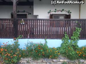 [P02] Casuta inflorita din povesti » foto by FrancescaClara
 - 
<span class="allrVoted glyphicon glyphicon-heart hidden" id="av550920"></span>
<a class="m-l-10 hidden" id="sv550920" onclick="voting_Foto_DelVot(,550920,17355)" role="button">șterge vot <span class="glyphicon glyphicon-remove"></span></a>
<a id="v9550920" class=" c-red"  onclick="voting_Foto_SetVot(550920)" role="button"><span class="glyphicon glyphicon-heart-empty"></span> <b>LIKE</b> = Votează poza</a> <img class="hidden"  id="f550920W9" src="/imagini/loader.gif" border="0" /><span class="AjErrMes hidden" id="e550920ErM"></span>