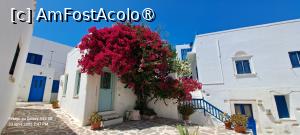 [P75] Paros, la pas prin Paroikia » foto by irinad
 - 
<span class="allrVoted glyphicon glyphicon-heart hidden" id="av1526165"></span>
<a class="m-l-10 hidden" id="sv1526165" onclick="voting_Foto_DelVot(,1526165,17461)" role="button">șterge vot <span class="glyphicon glyphicon-remove"></span></a>
<a id="v91526165" class=" c-red"  onclick="voting_Foto_SetVot(1526165)" role="button"><span class="glyphicon glyphicon-heart-empty"></span> <b>LIKE</b> = Votează poza</a> <img class="hidden"  id="f1526165W9" src="/imagini/loader.gif" border="0" /><span class="AjErrMes hidden" id="e1526165ErM"></span>