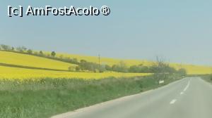 [P11] Intr-o zi, am plecat la Marghita, unde am aflat ca exista un restaurant (Taverna 'La Ciolanul') cu mancare excelenta » foto by dorgo
 - 
<span class="allrVoted glyphicon glyphicon-heart hidden" id="av1525695"></span>
<a class="m-l-10 hidden" id="sv1525695" onclick="voting_Foto_DelVot(,1525695,17749)" role="button">șterge vot <span class="glyphicon glyphicon-remove"></span></a>
<a id="v91525695" class=" c-red"  onclick="voting_Foto_SetVot(1525695)" role="button"><span class="glyphicon glyphicon-heart-empty"></span> <b>LIKE</b> = Votează poza</a> <img class="hidden"  id="f1525695W9" src="/imagini/loader.gif" border="0" /><span class="AjErrMes hidden" id="e1525695ErM"></span>