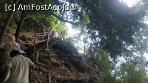 [P37] Monkey Trail - trepte » foto by elenaadina
 - 
<span class="allrVoted glyphicon glyphicon-heart hidden" id="av1524869"></span>
<a class="m-l-10 hidden" id="sv1524869" onclick="voting_Foto_DelVot(,1524869,17822)" role="button">șterge vot <span class="glyphicon glyphicon-remove"></span></a>
<a id="v91524869" class=" c-red"  onclick="voting_Foto_SetVot(1524869)" role="button"><span class="glyphicon glyphicon-heart-empty"></span> <b>LIKE</b> = Votează poza</a> <img class="hidden"  id="f1524869W9" src="/imagini/loader.gif" border="0" /><span class="AjErrMes hidden" id="e1524869ErM"></span>