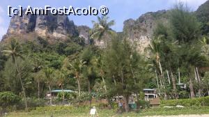 [P41] Grand Centara » foto by elenaadina
 - 
<span class="allrVoted glyphicon glyphicon-heart hidden" id="av1524873"></span>
<a class="m-l-10 hidden" id="sv1524873" onclick="voting_Foto_DelVot(,1524873,17822)" role="button">șterge vot <span class="glyphicon glyphicon-remove"></span></a>
<a id="v91524873" class=" c-red"  onclick="voting_Foto_SetVot(1524873)" role="button"><span class="glyphicon glyphicon-heart-empty"></span> <b>LIKE</b> = Votează poza</a> <img class="hidden"  id="f1524873W9" src="/imagini/loader.gif" border="0" /><span class="AjErrMes hidden" id="e1524873ErM"></span>