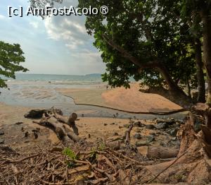 [P51] Monkey Trail - maimute » foto by elenaadina
 - 
<span class="allrVoted glyphicon glyphicon-heart hidden" id="av1524883"></span>
<a class="m-l-10 hidden" id="sv1524883" onclick="voting_Foto_DelVot(,1524883,17822)" role="button">șterge vot <span class="glyphicon glyphicon-remove"></span></a>
<a id="v91524883" class=" c-red"  onclick="voting_Foto_SetVot(1524883)" role="button"><span class="glyphicon glyphicon-heart-empty"></span> <b>LIKE</b> = Votează poza</a> <img class="hidden"  id="f1524883W9" src="/imagini/loader.gif" border="0" /><span class="AjErrMes hidden" id="e1524883ErM"></span>