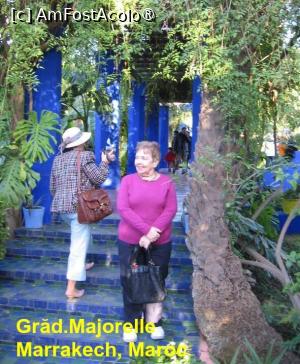 [P01] Albastru de Majorelle » foto by Michi
 - 
<span class="allrVoted glyphicon glyphicon-heart hidden" id="av1453246"></span>
<a class="m-l-10 hidden" id="sv1453246" onclick="voting_Foto_DelVot(,1453246,17887)" role="button">șterge vot <span class="glyphicon glyphicon-remove"></span></a>
<a id="v91453246" class=" c-red"  onclick="voting_Foto_SetVot(1453246)" role="button"><span class="glyphicon glyphicon-heart-empty"></span> <b>LIKE</b> = Votează poza</a> <img class="hidden"  id="f1453246W9" src="/imagini/loader.gif" border="0" /><span class="AjErrMes hidden" id="e1453246ErM"></span>