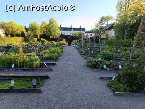 [P79] Uppsala, Grădina și Muzeul Linnaeus, Parterul peren » foto by mprofeanu
 - 
<span class="allrVoted glyphicon glyphicon-heart hidden" id="av1513455"></span>
<a class="m-l-10 hidden" id="sv1513455" onclick="voting_Foto_DelVot(,1513455,17905)" role="button">șterge vot <span class="glyphicon glyphicon-remove"></span></a>
<a id="v91513455" class=" c-red"  onclick="voting_Foto_SetVot(1513455)" role="button"><span class="glyphicon glyphicon-heart-empty"></span> <b>LIKE</b> = Votează poza</a> <img class="hidden"  id="f1513455W9" src="/imagini/loader.gif" border="0" /><span class="AjErrMes hidden" id="e1513455ErM"></span>