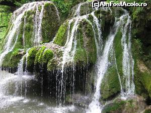 [P07] Cascada vazuta de jos » foto by paulcta
 - 
<span class="allrVoted glyphicon glyphicon-heart hidden" id="av624768"></span>
<a class="m-l-10 hidden" id="sv624768" onclick="voting_Foto_DelVot(,624768,17936)" role="button">șterge vot <span class="glyphicon glyphicon-remove"></span></a>
<a id="v9624768" class=" c-red"  onclick="voting_Foto_SetVot(624768)" role="button"><span class="glyphicon glyphicon-heart-empty"></span> <b>LIKE</b> = Votează poza</a> <img class="hidden"  id="f624768W9" src="/imagini/loader.gif" border="0" /><span class="AjErrMes hidden" id="e624768ErM"></span>