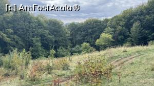 [P11] În Poiana lui Sulica » foto by Mika
 - 
<span class="allrVoted glyphicon glyphicon-heart hidden" id="av1509290"></span>
<a class="m-l-10 hidden" id="sv1509290" onclick="voting_Foto_DelVot(,1509290,17992)" role="button">șterge vot <span class="glyphicon glyphicon-remove"></span></a>
<a id="v91509290" class=" c-red"  onclick="voting_Foto_SetVot(1509290)" role="button"><span class="glyphicon glyphicon-heart-empty"></span> <b>LIKE</b> = Votează poza</a> <img class="hidden"  id="f1509290W9" src="/imagini/loader.gif" border="0" /><span class="AjErrMes hidden" id="e1509290ErM"></span>