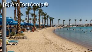 [P71] Plaja cu nisip fin si palmieri uriasi. » foto by ovidiuyepi
 - 
<span class="allrVoted glyphicon glyphicon-heart hidden" id="av1358206"></span>
<a class="m-l-10 hidden" id="sv1358206" onclick="voting_Foto_DelVot(,1358206,18013)" role="button">șterge vot <span class="glyphicon glyphicon-remove"></span></a>
<a id="v91358206" class=" c-red"  onclick="voting_Foto_SetVot(1358206)" role="button"><span class="glyphicon glyphicon-heart-empty"></span> <b>LIKE</b> = Votează poza</a> <img class="hidden"  id="f1358206W9" src="/imagini/loader.gif" border="0" /><span class="AjErrMes hidden" id="e1358206ErM"></span>