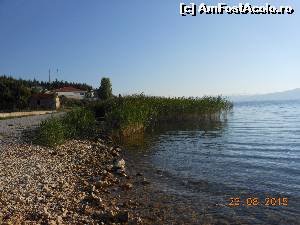 [P17] Întâlnirea AFA - bis 2015 - Macedonia. Izgrev Hotel Spa & Aquapark Struga, malul lacului.  » foto by iulianic
 - 
<span class="allrVoted glyphicon glyphicon-heart hidden" id="av662044"></span>
<a class="m-l-10 hidden" id="sv662044" onclick="voting_Foto_DelVot(,662044,18234)" role="button">șterge vot <span class="glyphicon glyphicon-remove"></span></a>
<a id="v9662044" class=" c-red"  onclick="voting_Foto_SetVot(662044)" role="button"><span class="glyphicon glyphicon-heart-empty"></span> <b>LIKE</b> = Votează poza</a> <img class="hidden"  id="f662044W9" src="/imagini/loader.gif" border="0" /><span class="AjErrMes hidden" id="e662044ErM"></span>
