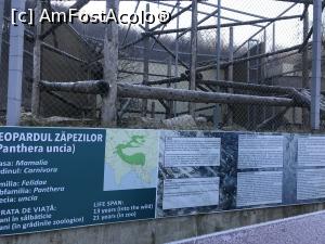 [P11] Zoo Brașov, 1 Decembrie 2018 » foto by krisstinna
 - 
<span class="allrVoted glyphicon glyphicon-heart hidden" id="av1043033"></span>
<a class="m-l-10 hidden" id="sv1043033" onclick="voting_Foto_DelVot(,1043033,18241)" role="button">șterge vot <span class="glyphicon glyphicon-remove"></span></a>
<a id="v91043033" class=" c-red"  onclick="voting_Foto_SetVot(1043033)" role="button"><span class="glyphicon glyphicon-heart-empty"></span> <b>LIKE</b> = Votează poza</a> <img class="hidden"  id="f1043033W9" src="/imagini/loader.gif" border="0" /><span class="AjErrMes hidden" id="e1043033ErM"></span>