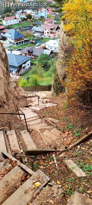 [P10] Cele peste 85 de trepte de la coborârea de pe stâncă. » foto by tata123 🔱
 - 
<span class="allrVoted glyphicon glyphicon-heart hidden" id="av1505033"></span>
<a class="m-l-10 hidden" id="sv1505033" onclick="voting_Foto_DelVot(,1505033,18441)" role="button">șterge vot <span class="glyphicon glyphicon-remove"></span></a>
<a id="v91505033" class=" c-red"  onclick="voting_Foto_SetVot(1505033)" role="button"><span class="glyphicon glyphicon-heart-empty"></span> <b>LIKE</b> = Votează poza</a> <img class="hidden"  id="f1505033W9" src="/imagini/loader.gif" border="0" /><span class="AjErrMes hidden" id="e1505033ErM"></span>