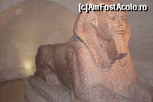 [P04] Intrarea în departamentul Antichităţilor egiptene este străjuită de acest sfinx din granit roz, reprezentându-l pe faraonul Amenemhat al II-lea » foto by Ovidiu istorie
 - 
<span class="allrVoted glyphicon glyphicon-heart hidden" id="av319884"></span>
<a class="m-l-10 hidden" id="sv319884" onclick="voting_Foto_DelVot(,319884,18451)" role="button">șterge vot <span class="glyphicon glyphicon-remove"></span></a>
<a id="v9319884" class=" c-red"  onclick="voting_Foto_SetVot(319884)" role="button"><span class="glyphicon glyphicon-heart-empty"></span> <b>LIKE</b> = Votează poza</a> <img class="hidden"  id="f319884W9" src="/imagini/loader.gif" border="0" /><span class="AjErrMes hidden" id="e319884ErM"></span>