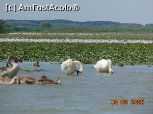 [P53] Delta Dunarii, habitat de pasari » foto by Yolanda
 - 
<span class="allrVoted glyphicon glyphicon-heart hidden" id="av1541362"></span>
<a class="m-l-10 hidden" id="sv1541362" onclick="voting_Foto_DelVot(,1541362,18727)" role="button">șterge vot <span class="glyphicon glyphicon-remove"></span></a>
<a id="v91541362" class=" c-red"  onclick="voting_Foto_SetVot(1541362)" role="button"><span class="glyphicon glyphicon-heart-empty"></span> <b>LIKE</b> = Votează poza</a> <img class="hidden"  id="f1541362W9" src="/imagini/loader.gif" border="0" /><span class="AjErrMes hidden" id="e1541362ErM"></span>