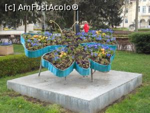 [P20] Razgrad - În parc, panseluțe într-un inedit aranjament floral. » foto by iulianic
 - 
<span class="allrVoted glyphicon glyphicon-heart hidden" id="av1359431"></span>
<a class="m-l-10 hidden" id="sv1359431" onclick="voting_Foto_DelVot(,1359431,18752)" role="button">șterge vot <span class="glyphicon glyphicon-remove"></span></a>
<a id="v91359431" class=" c-red"  onclick="voting_Foto_SetVot(1359431)" role="button"><span class="glyphicon glyphicon-heart-empty"></span> <b>LIKE</b> = Votează poza</a> <img class="hidden"  id="f1359431W9" src="/imagini/loader.gif" border="0" /><span class="AjErrMes hidden" id="e1359431ErM"></span>