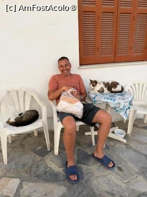 [P28] Bătrânul și pisicii » foto by pacala_pm
 - 
<span class="allrVoted glyphicon glyphicon-heart hidden" id="av1545015"></span>
<a class="m-l-10 hidden" id="sv1545015" onclick="voting_Foto_DelVot(,1545015,18765)" role="button">șterge vot <span class="glyphicon glyphicon-remove"></span></a>
<a id="v91545015" class=" c-red"  onclick="voting_Foto_SetVot(1545015)" role="button"><span class="glyphicon glyphicon-heart-empty"></span> <b>LIKE</b> = Votează poza</a> <img class="hidden"  id="f1545015W9" src="/imagini/loader.gif" border="0" /><span class="AjErrMes hidden" id="e1545015ErM"></span>