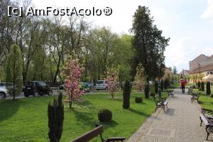 [P50] Carei și iar verde, alei frumoase, magnolii înflorite...  » foto by mprofeanu
 - 
<span class="allrVoted glyphicon glyphicon-heart hidden" id="av1069685"></span>
<a class="m-l-10 hidden" id="sv1069685" onclick="voting_Foto_DelVot(,1069685,18846)" role="button">șterge vot <span class="glyphicon glyphicon-remove"></span></a>
<a id="v91069685" class=" c-red"  onclick="voting_Foto_SetVot(1069685)" role="button"><span class="glyphicon glyphicon-heart-empty"></span> <b>LIKE</b> = Votează poza</a> <img class="hidden"  id="f1069685W9" src="/imagini/loader.gif" border="0" /><span class="AjErrMes hidden" id="e1069685ErM"></span>