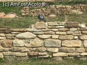 P35 [APR-2019] Cetatea antică de la Capul Sfântul Atanasie – Byala