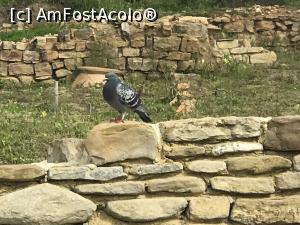 P36 [APR-2019] Cetatea antică de la Capul Sfântul Atanasie – Byala