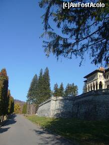 [P01] Castelul Cantacuzino din Busteni, aleea care duce la castel » foto by magdalena
 - 
<span class="allrVoted glyphicon glyphicon-heart hidden" id="av272965"></span>
<a class="m-l-10 hidden" id="sv272965" onclick="voting_Foto_DelVot(,272965,18916)" role="button">șterge vot <span class="glyphicon glyphicon-remove"></span></a>
<a id="v9272965" class=" c-red"  onclick="voting_Foto_SetVot(272965)" role="button"><span class="glyphicon glyphicon-heart-empty"></span> <b>LIKE</b> = Votează poza</a> <img class="hidden"  id="f272965W9" src="/imagini/loader.gif" border="0" /><span class="AjErrMes hidden" id="e272965ErM"></span>