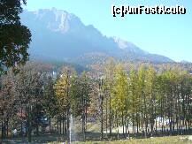 [P05] Castelul Cantacuzino din Busteni, Muntii Caraiman » foto by magdalena
 - 
<span class="allrVoted glyphicon glyphicon-heart hidden" id="av272978"></span>
<a class="m-l-10 hidden" id="sv272978" onclick="voting_Foto_DelVot(,272978,18916)" role="button">șterge vot <span class="glyphicon glyphicon-remove"></span></a>
<a id="v9272978" class=" c-red"  onclick="voting_Foto_SetVot(272978)" role="button"><span class="glyphicon glyphicon-heart-empty"></span> <b>LIKE</b> = Votează poza</a> <img class="hidden"  id="f272978W9" src="/imagini/loader.gif" border="0" /><span class="AjErrMes hidden" id="e272978ErM"></span>