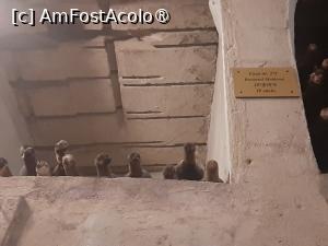 [P32] A doua stație - Cel mai vechi vin din cramă » foto by adso
 - 
<span class="allrVoted glyphicon glyphicon-heart hidden" id="av1532655"></span>
<a class="m-l-10 hidden" id="sv1532655" onclick="voting_Foto_DelVot(,1532655,18927)" role="button">șterge vot <span class="glyphicon glyphicon-remove"></span></a>
<a id="v91532655" class=" c-red"  onclick="voting_Foto_SetVot(1532655)" role="button"><span class="glyphicon glyphicon-heart-empty"></span> <b>LIKE</b> = Votează poza</a> <img class="hidden"  id="f1532655W9" src="/imagini/loader.gif" border="0" /><span class="AjErrMes hidden" id="e1532655ErM"></span>