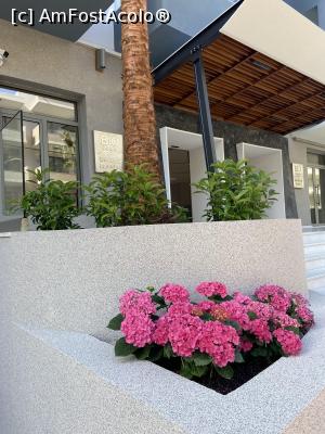 P02 [APR-2023] Bio Suites Hotel - flori la intrarea în hotel