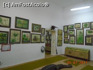 [P31] Sala cu floră acvatică și palustră, acuarele reprezentând plante din această floră și o coadă de crocodil » foto by Mitica49
 - 
<span class="allrVoted glyphicon glyphicon-heart hidden" id="av965258"></span>
<a class="m-l-10 hidden" id="sv965258" onclick="voting_Foto_DelVot(,965258,19622)" role="button">șterge vot <span class="glyphicon glyphicon-remove"></span></a>
<a id="v9965258" class=" c-red"  onclick="voting_Foto_SetVot(965258)" role="button"><span class="glyphicon glyphicon-heart-empty"></span> <b>LIKE</b> = Votează poza</a> <img class="hidden"  id="f965258W9" src="/imagini/loader.gif" border="0" /><span class="AjErrMes hidden" id="e965258ErM"></span>