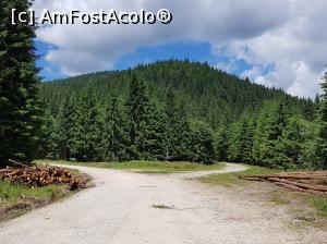 [P18] Drumul forestier de pe valea râului Bâsca Mică. La stânga continuă drumul spre Comandău; la dreapta este drumul forestier secundar către observatorul montan ”Frăția Neamului Românesc” de pe Muntele Giurgiu (din acest loc am mai parcurs vreo 7 kilometri, ultimii 2 kilometri pe jos în golul alpin). » foto by Floryn81
 - 
<span class="allrVoted glyphicon glyphicon-heart hidden" id="av1089739"></span>
<a class="m-l-10 hidden" id="sv1089739" onclick="voting_Foto_DelVot(,1089739,19976)" role="button">șterge vot <span class="glyphicon glyphicon-remove"></span></a>
<a id="v91089739" class=" c-red"  onclick="voting_Foto_SetVot(1089739)" role="button"><span class="glyphicon glyphicon-heart-empty"></span> <b>LIKE</b> = Votează poza</a> <img class="hidden"  id="f1089739W9" src="/imagini/loader.gif" border="0" /><span class="AjErrMes hidden" id="e1089739ErM"></span>
