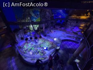 [P57] Dubai Undewater Zoo » foto by AZE
 - 
<span class="allrVoted glyphicon glyphicon-heart hidden" id="av1483388"></span>
<a class="m-l-10 hidden" id="sv1483388" onclick="voting_Foto_DelVot(,1483388,19983)" role="button">șterge vot <span class="glyphicon glyphicon-remove"></span></a>
<a id="v91483388" class=" c-red"  onclick="voting_Foto_SetVot(1483388)" role="button"><span class="glyphicon glyphicon-heart-empty"></span> <b>LIKE</b> = Votează poza</a> <img class="hidden"  id="f1483388W9" src="/imagini/loader.gif" border="0" /><span class="AjErrMes hidden" id="e1483388ErM"></span>
