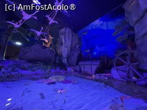 [P64] Dubai Undewater Zoo » foto by AZE
 - 
<span class="allrVoted glyphicon glyphicon-heart hidden" id="av1483395"></span>
<a class="m-l-10 hidden" id="sv1483395" onclick="voting_Foto_DelVot(,1483395,19983)" role="button">șterge vot <span class="glyphicon glyphicon-remove"></span></a>
<a id="v91483395" class=" c-red"  onclick="voting_Foto_SetVot(1483395)" role="button"><span class="glyphicon glyphicon-heart-empty"></span> <b>LIKE</b> = Votează poza</a> <img class="hidden"  id="f1483395W9" src="/imagini/loader.gif" border="0" /><span class="AjErrMes hidden" id="e1483395ErM"></span>