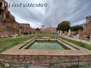 [P06] Bazin în grădina Vestalelor » foto by BristenaBrad
 - 
<span class="allrVoted glyphicon glyphicon-heart hidden" id="av1505572"></span>
<a class="m-l-10 hidden" id="sv1505572" onclick="voting_Foto_DelVot(,1505572,20021)" role="button">șterge vot <span class="glyphicon glyphicon-remove"></span></a>
<a id="v91505572" class=" c-red"  onclick="voting_Foto_SetVot(1505572)" role="button"><span class="glyphicon glyphicon-heart-empty"></span> <b>LIKE</b> = Votează poza</a> <img class="hidden"  id="f1505572W9" src="/imagini/loader.gif" border="0" /><span class="AjErrMes hidden" id="e1505572ErM"></span>