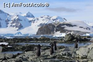 P16 [MAR-2016] Alt peisaj din Antarctica