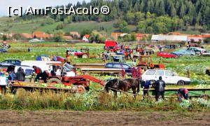 [P04] Locuitorii comunei Frumoasa recoltează în aceeaşi zi varza cultivată pe un teren de la marginea localităţii (4)  » foto by Lucien
 - 
<span class="allrVoted glyphicon glyphicon-heart hidden" id="av734890"></span>
<a class="m-l-10 hidden" id="sv734890" onclick="voting_Foto_DelVot(,734890,20160)" role="button">șterge vot <span class="glyphicon glyphicon-remove"></span></a>
<a id="v9734890" class=" c-red"  onclick="voting_Foto_SetVot(734890)" role="button"><span class="glyphicon glyphicon-heart-empty"></span> <b>LIKE</b> = Votează poza</a> <img class="hidden"  id="f734890W9" src="/imagini/loader.gif" border="0" /><span class="AjErrMes hidden" id="e734890ErM"></span>