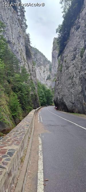 P02 [AUG-2024] Cheile Bicăjelului... - Stânci și serpentine în Cheile Bicazului.