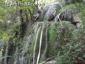 [P44] Cascada Misterioasă » foto by irinad
 - 
<span class="allrVoted glyphicon glyphicon-heart hidden" id="av777522"></span>
<a class="m-l-10 hidden" id="sv777522" onclick="voting_Foto_DelVot(,777522,20378)" role="button">șterge vot <span class="glyphicon glyphicon-remove"></span></a>
<a id="v9777522" class=" c-red"  onclick="voting_Foto_SetVot(777522)" role="button"><span class="glyphicon glyphicon-heart-empty"></span> <b>LIKE</b> = Votează poza</a> <img class="hidden"  id="f777522W9" src="/imagini/loader.gif" border="0" /><span class="AjErrMes hidden" id="e777522ErM"></span>