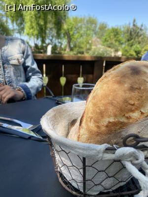 [P19] Gradina Snagov. Pita calda. » foto by Floria
 - 
<span class="allrVoted glyphicon glyphicon-heart hidden" id="av1483448"></span>
<a class="m-l-10 hidden" id="sv1483448" onclick="voting_Foto_DelVot(,1483448,20727)" role="button">șterge vot <span class="glyphicon glyphicon-remove"></span></a>
<a id="v91483448" class=" c-red"  onclick="voting_Foto_SetVot(1483448)" role="button"><span class="glyphicon glyphicon-heart-empty"></span> <b>LIKE</b> = Votează poza</a> <img class="hidden"  id="f1483448W9" src="/imagini/loader.gif" border="0" /><span class="AjErrMes hidden" id="e1483448ErM"></span>