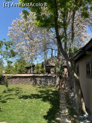 [P27] Gradina Snagov. » foto by Floria
 - 
<span class="allrVoted glyphicon glyphicon-heart hidden" id="av1483456"></span>
<a class="m-l-10 hidden" id="sv1483456" onclick="voting_Foto_DelVot(,1483456,20727)" role="button">șterge vot <span class="glyphicon glyphicon-remove"></span></a>
<a id="v91483456" class=" c-red"  onclick="voting_Foto_SetVot(1483456)" role="button"><span class="glyphicon glyphicon-heart-empty"></span> <b>LIKE</b> = Votează poza</a> <img class="hidden"  id="f1483456W9" src="/imagini/loader.gif" border="0" /><span class="AjErrMes hidden" id="e1483456ErM"></span>