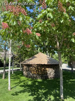 [P29] Gradina Snagov. » foto by Floria
 - 
<span class="allrVoted glyphicon glyphicon-heart hidden" id="av1483458"></span>
<a class="m-l-10 hidden" id="sv1483458" onclick="voting_Foto_DelVot(,1483458,20727)" role="button">șterge vot <span class="glyphicon glyphicon-remove"></span></a>
<a id="v91483458" class=" c-red"  onclick="voting_Foto_SetVot(1483458)" role="button"><span class="glyphicon glyphicon-heart-empty"></span> <b>LIKE</b> = Votează poza</a> <img class="hidden"  id="f1483458W9" src="/imagini/loader.gif" border="0" /><span class="AjErrMes hidden" id="e1483458ErM"></span>