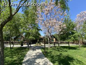 [P30] Gradina Snagov. » foto by Floria
 - 
<span class="allrVoted glyphicon glyphicon-heart hidden" id="av1483459"></span>
<a class="m-l-10 hidden" id="sv1483459" onclick="voting_Foto_DelVot(,1483459,20727)" role="button">șterge vot <span class="glyphicon glyphicon-remove"></span></a>
<a id="v91483459" class=" c-red"  onclick="voting_Foto_SetVot(1483459)" role="button"><span class="glyphicon glyphicon-heart-empty"></span> <b>LIKE</b> = Votează poza</a> <img class="hidden"  id="f1483459W9" src="/imagini/loader.gif" border="0" /><span class="AjErrMes hidden" id="e1483459ErM"></span>