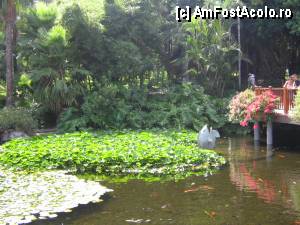 [P06] asa veti fi intampinati la intrarea in Loro Park, Puerto de la Cruz, nordul insulei » foto by dianabzs
 - 
<span class="allrVoted glyphicon glyphicon-heart hidden" id="av422436"></span>
<a class="m-l-10 hidden" id="sv422436" onclick="voting_Foto_DelVot(,422436,21026)" role="button">șterge vot <span class="glyphicon glyphicon-remove"></span></a>
<a id="v9422436" class=" c-red"  onclick="voting_Foto_SetVot(422436)" role="button"><span class="glyphicon glyphicon-heart-empty"></span> <b>LIKE</b> = Votează poza</a> <img class="hidden"  id="f422436W9" src="/imagini/loader.gif" border="0" /><span class="AjErrMes hidden" id="e422436ErM"></span>