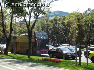 [P77] Bucharest City Tour - am coborat dar nu puteam sa nu fotografiez si autobuzul care m-a plimbat mai mult de o ora prin oras.  » foto by mishu
 - 
<span class="allrVoted glyphicon glyphicon-heart hidden" id="av790316"></span>
<a class="m-l-10 hidden" id="sv790316" onclick="voting_Foto_DelVot(,790316,21034)" role="button">șterge vot <span class="glyphicon glyphicon-remove"></span></a>
<a id="v9790316" class=" c-red"  onclick="voting_Foto_SetVot(790316)" role="button"><span class="glyphicon glyphicon-heart-empty"></span> <b>LIKE</b> = Votează poza</a> <img class="hidden"  id="f790316W9" src="/imagini/loader.gif" border="0" /><span class="AjErrMes hidden" id="e790316ErM"></span>
