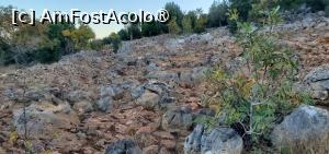 [P06] dealul aratarilor » foto by ionyde
 - 
<span class="allrVoted glyphicon glyphicon-heart hidden" id="av1504956"></span>
<a class="m-l-10 hidden" id="sv1504956" onclick="voting_Foto_DelVot(,1504956,21049)" role="button">șterge vot <span class="glyphicon glyphicon-remove"></span></a>
<a id="v91504956" class=" c-red"  onclick="voting_Foto_SetVot(1504956)" role="button"><span class="glyphicon glyphicon-heart-empty"></span> <b>LIKE</b> = Votează poza</a> <img class="hidden"  id="f1504956W9" src="/imagini/loader.gif" border="0" /><span class="AjErrMes hidden" id="e1504956ErM"></span>