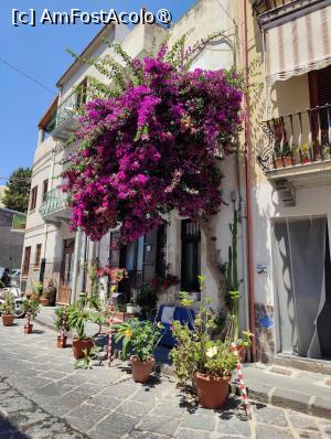 [P43] La pas prin Insula Lipari » foto by crismis
 - 
<span class="allrVoted glyphicon glyphicon-heart hidden" id="av1498772"></span>
<a class="m-l-10 hidden" id="sv1498772" onclick="voting_Foto_DelVot(,1498772,21065)" role="button">șterge vot <span class="glyphicon glyphicon-remove"></span></a>
<a id="v91498772" class=" c-red"  onclick="voting_Foto_SetVot(1498772)" role="button"><span class="glyphicon glyphicon-heart-empty"></span> <b>LIKE</b> = Votează poza</a> <img class="hidden"  id="f1498772W9" src="/imagini/loader.gif" border="0" /><span class="AjErrMes hidden" id="e1498772ErM"></span>