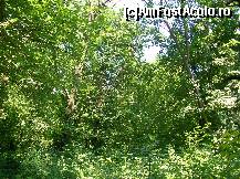 P08 [JUN-2013] Conacul Bellu - O zi frumoasă de vară, înconjurați de verdeață. 