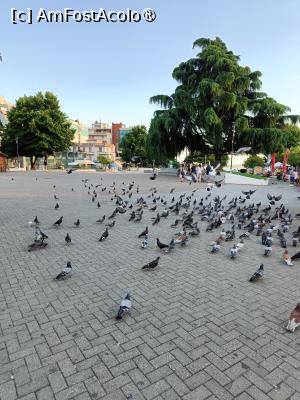 [P03] Piața Libertății. » foto by tata123 🔱
 - 
<span class="allrVoted glyphicon glyphicon-heart hidden" id="av1535191"></span>
<a class="m-l-10 hidden" id="sv1535191" onclick="voting_Foto_DelVot(,1535191,21168)" role="button">șterge vot <span class="glyphicon glyphicon-remove"></span></a>
<a id="v91535191" class=" c-red"  onclick="voting_Foto_SetVot(1535191)" role="button"><span class="glyphicon glyphicon-heart-empty"></span> <b>LIKE</b> = Votează poza</a> <img class="hidden"  id="f1535191W9" src="/imagini/loader.gif" border="0" /><span class="AjErrMes hidden" id="e1535191ErM"></span>