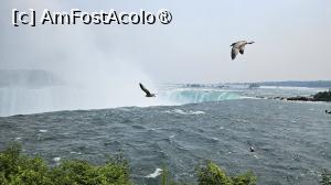 [P25] cascada Niagara » foto by robert
 - 
<span class="allrVoted glyphicon glyphicon-heart hidden" id="av1544972"></span>
<a class="m-l-10 hidden" id="sv1544972" onclick="voting_Foto_DelVot(,1544972,21215)" role="button">șterge vot <span class="glyphicon glyphicon-remove"></span></a>
<a id="v91544972" class=" c-red"  onclick="voting_Foto_SetVot(1544972)" role="button"><span class="glyphicon glyphicon-heart-empty"></span> <b>LIKE</b> = Votează poza</a> <img class="hidden"  id="f1544972W9" src="/imagini/loader.gif" border="0" /><span class="AjErrMes hidden" id="e1544972ErM"></span>